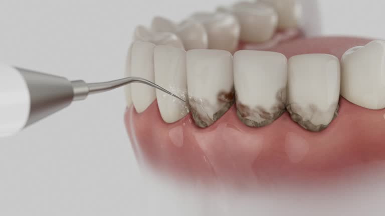 Reliable Dental contractor in Franklin County County, FL by Dentist Open Now